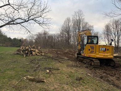Yellow CAT excavator clearing brush in a grassy field beside a pile of cut logs. Yellow CAT excavator clearing brush in a grassy field beside a pile of cut logs.