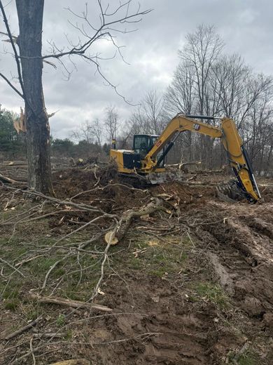 Yellow excavator clearing brush in a muddy wooded area under a cloudy sky Yellow excavator clearing brush in a muddy wooded area under a cloudy sky