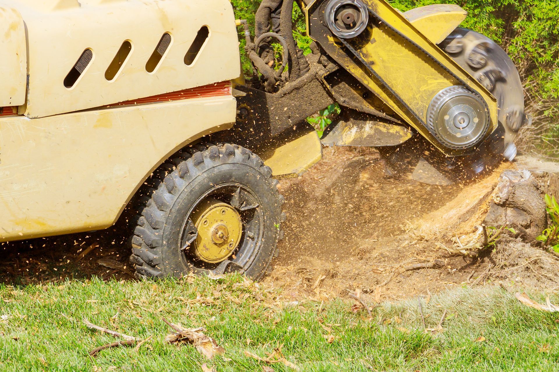 Yellow skid-steer loader digging dirt beside a grassy area, throwing soil with its bucket arms Yellow skid-steer loader digging dirt beside a grassy area, throwing soil with its bucket arms