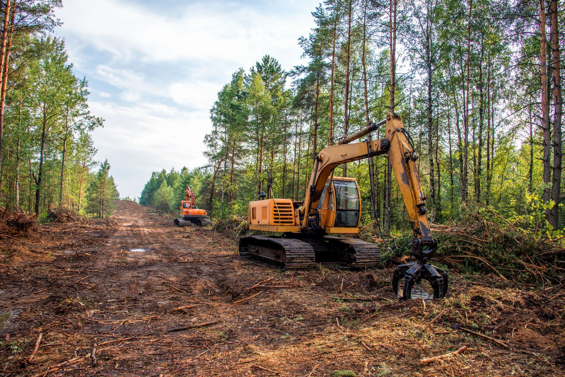 Excavator clearing a forest road, with cut trees and a dirt path through pine woods Excavator clearing a forest road, with cut trees and a dirt path through pine woods
