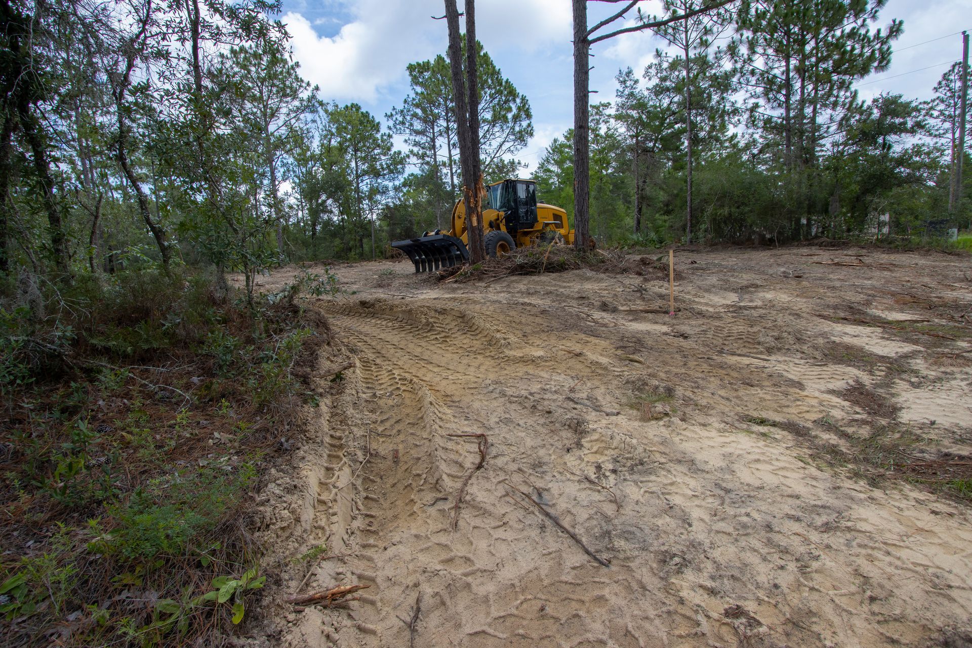 Bulldozer clearing a sandy dirt road in a pine forest under cloudy sky Bulldozer clearing a sandy dirt road in a pine forest under cloudy sky
