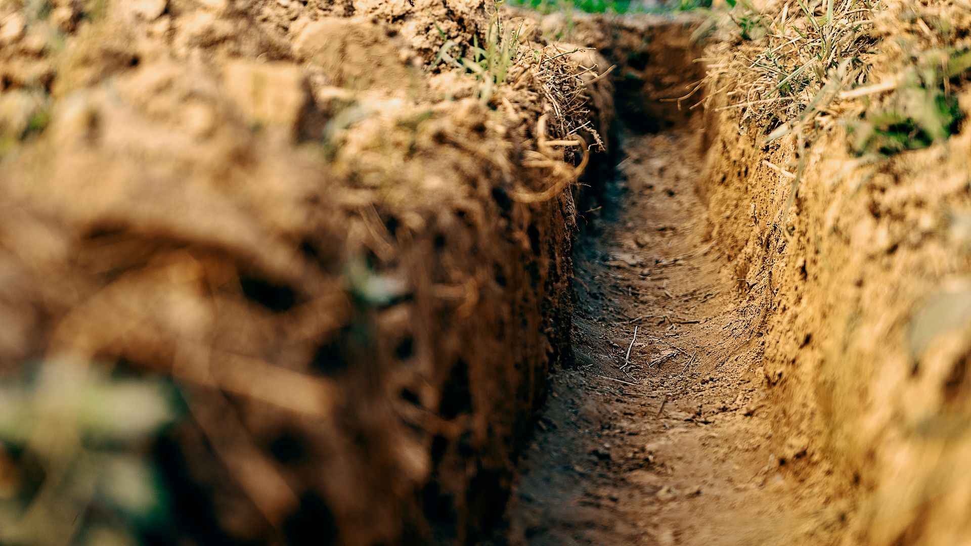 Close-up of a narrow dirt trench with rough soil walls and a small green plant at the top. Close-up of a narrow dirt trench with rough soil walls and a small green plant at the top.