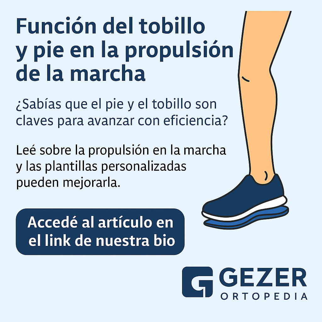 Función del Tobillo y Pie en la Propulsión de la Marcha