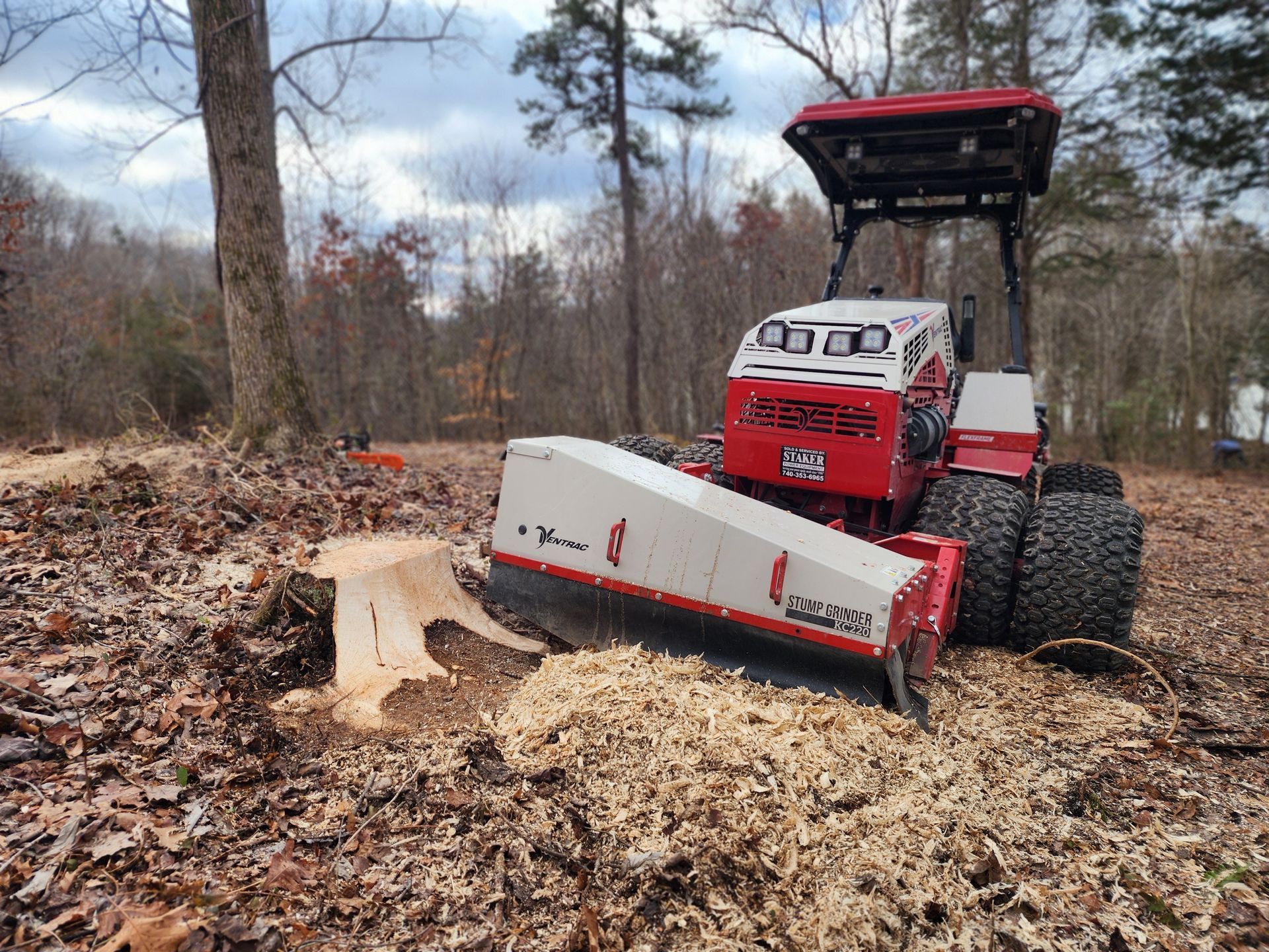 Stump grinding in Cincinnati ohio
