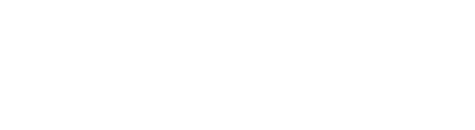 Southeast Laser Logo