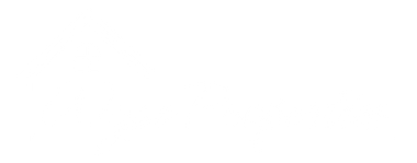 Wyse Properties Logo - Footer