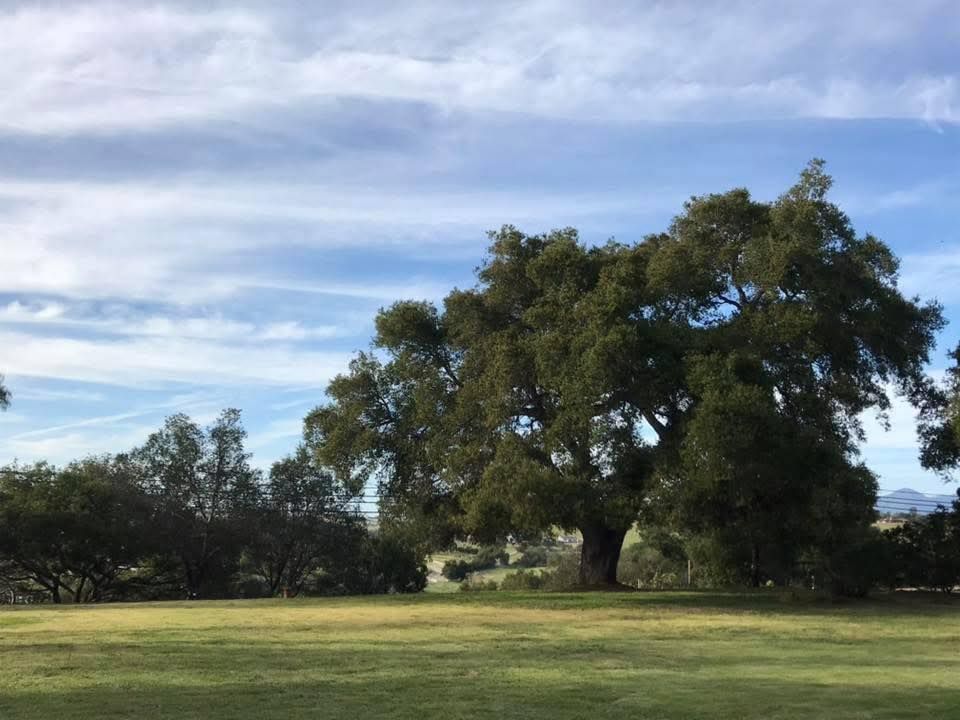 Solvang CA