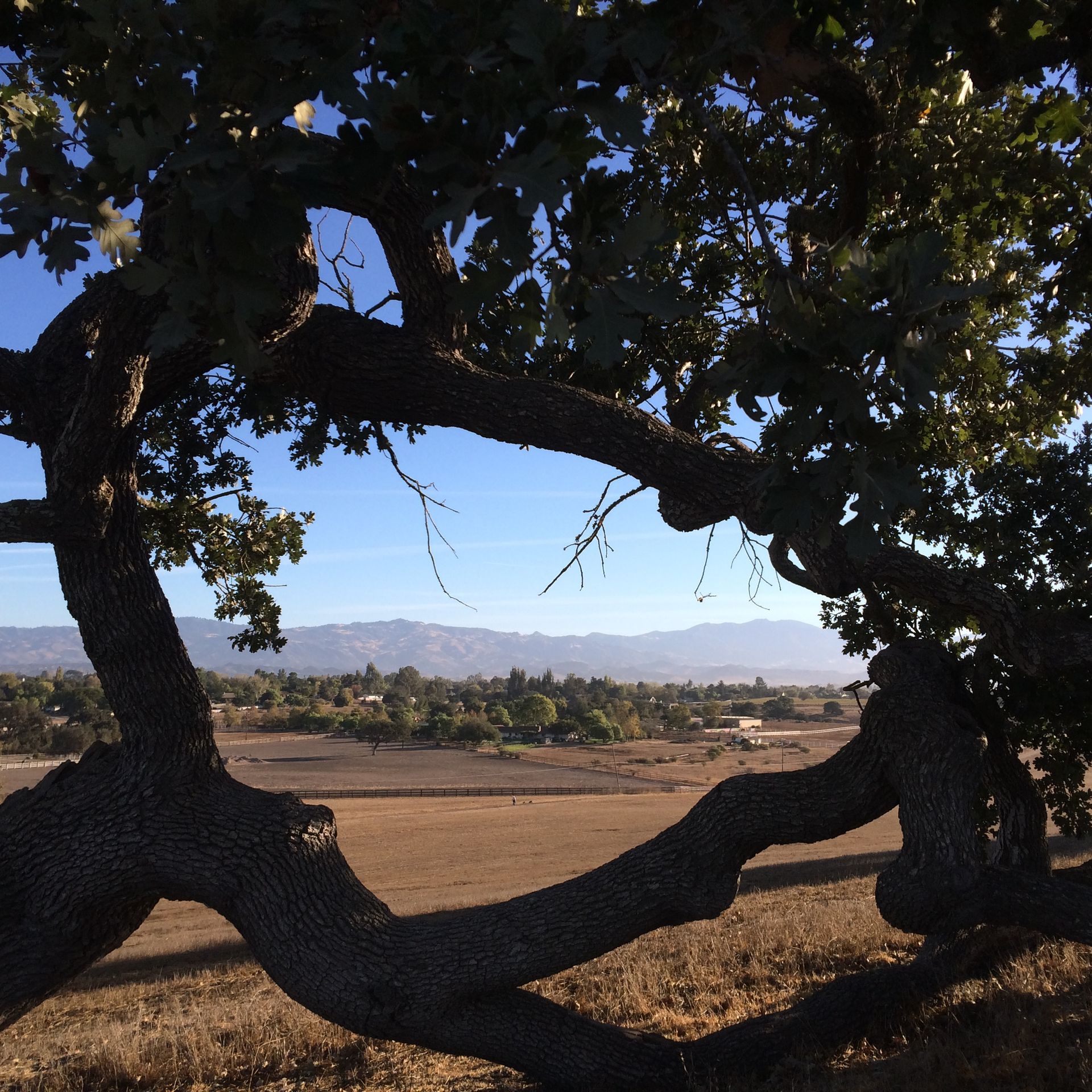 La Presa Vineyard 