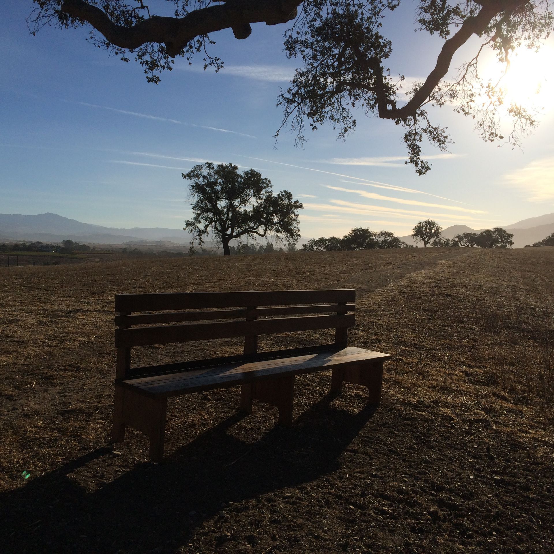 Santa Ynez Valley 