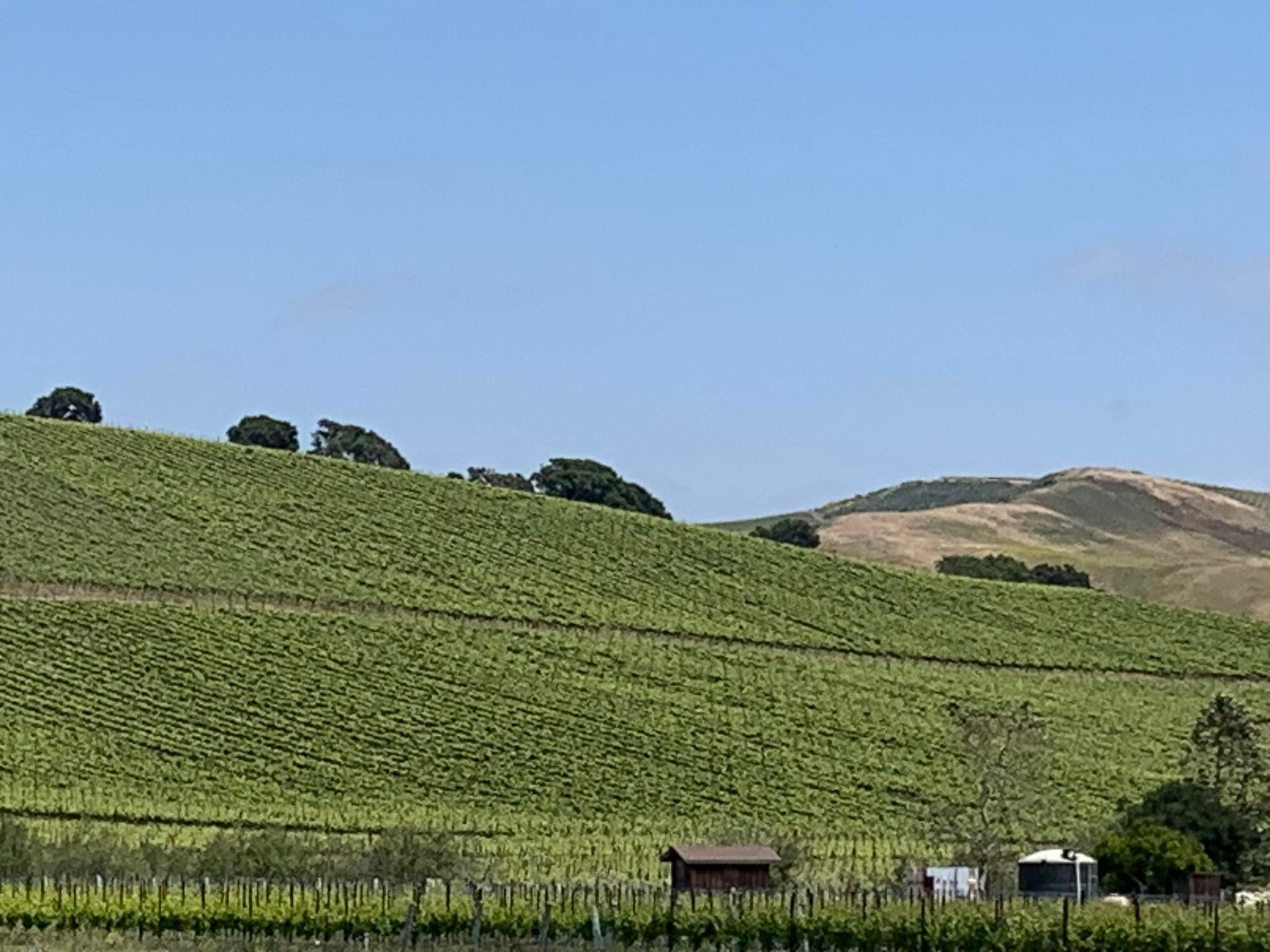 Santa Ynez Valley 