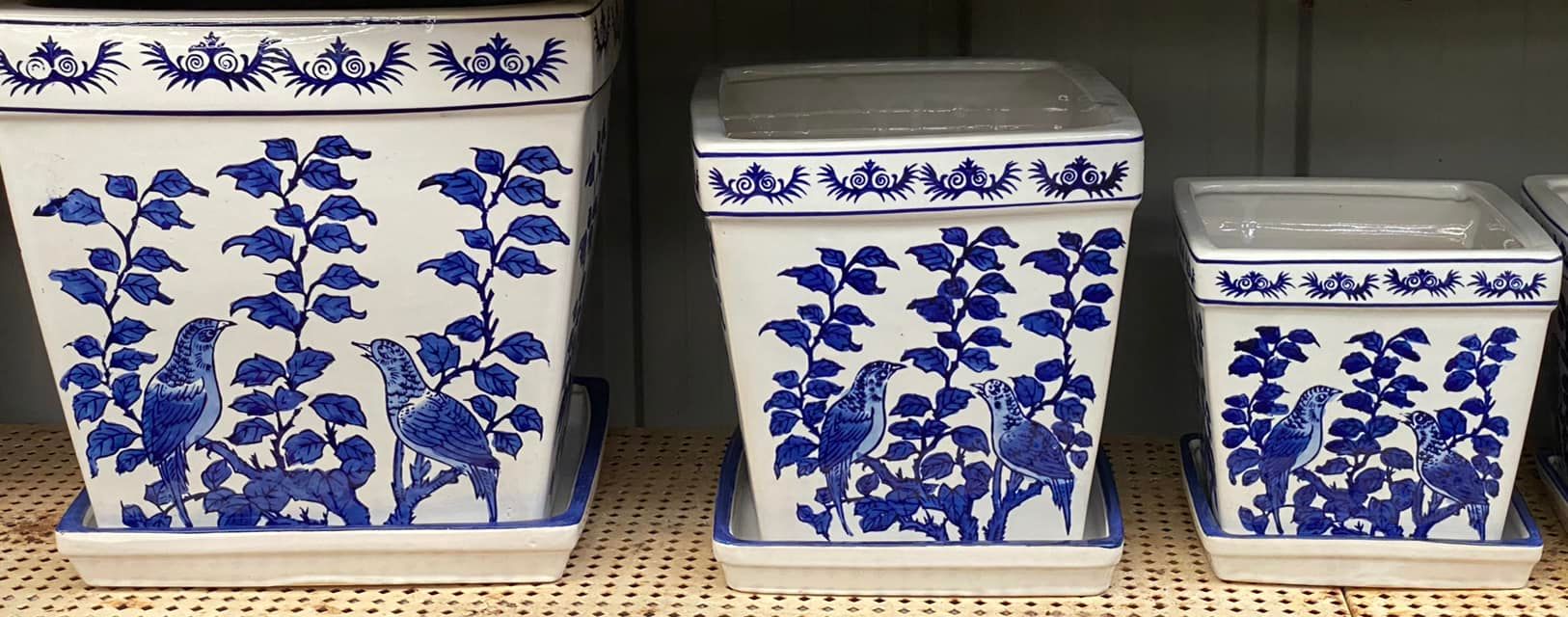 Porcelain Pots — Junction Hill Nursery in Junction Hill, NSW