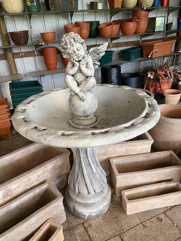 Angel Fountain — Junction Hill Nursery in Junction Hill, NSW