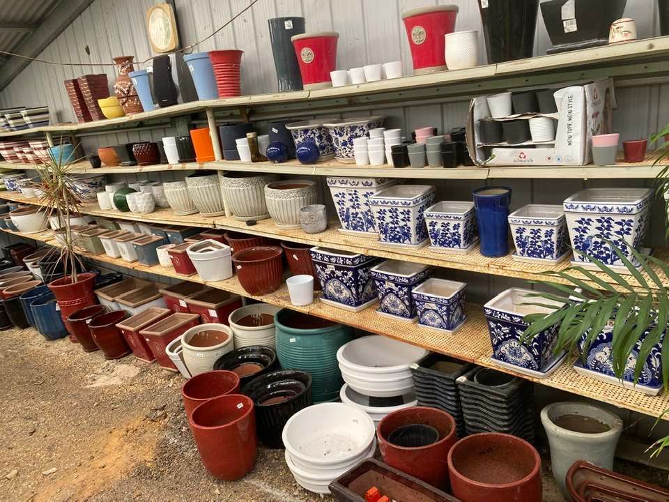 Pots of Different Sizes — Junction Hill Nursery in Junction Hill, NSW