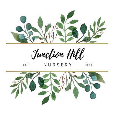 Junction Hill Nursery: Your Old Fashioned Nursery in Grafton