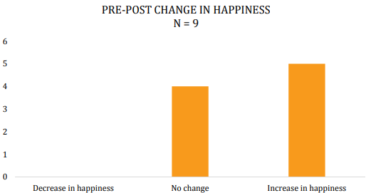 CultureRx: Findings from the Berkshires and Springfield (2020)