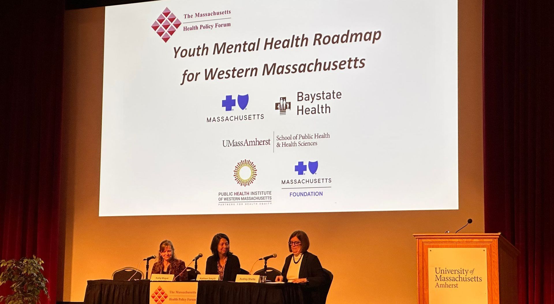 Kathleen Szegda presenting at Youth Mental Health Roadmap for Western MA event