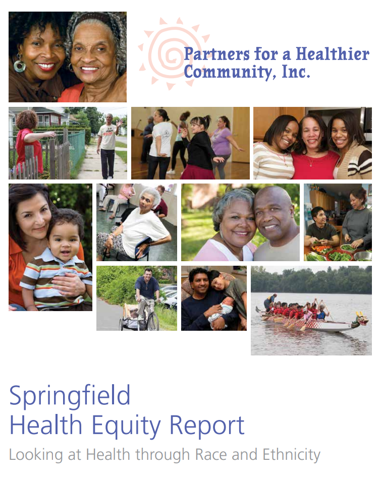Springfield Health Equity Report (2014)