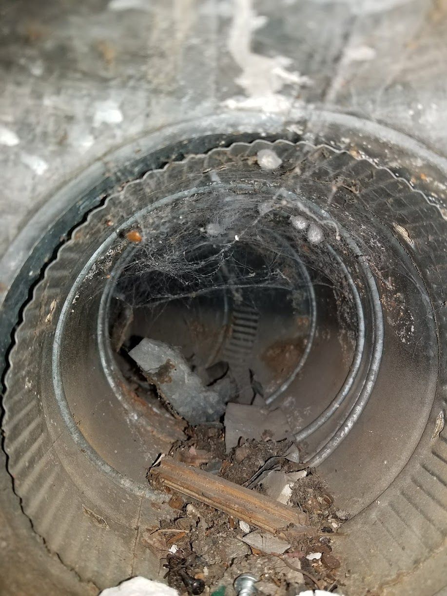 A dirty drain pipe with debris and standing water inside