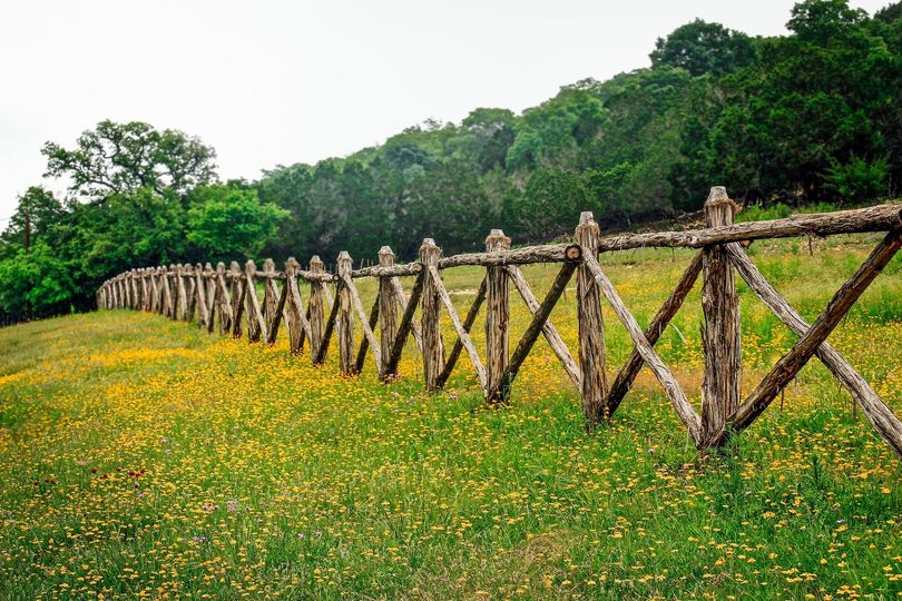 Wooden fence along a yellow wildflower meadow beside a green forest under an overcast sky