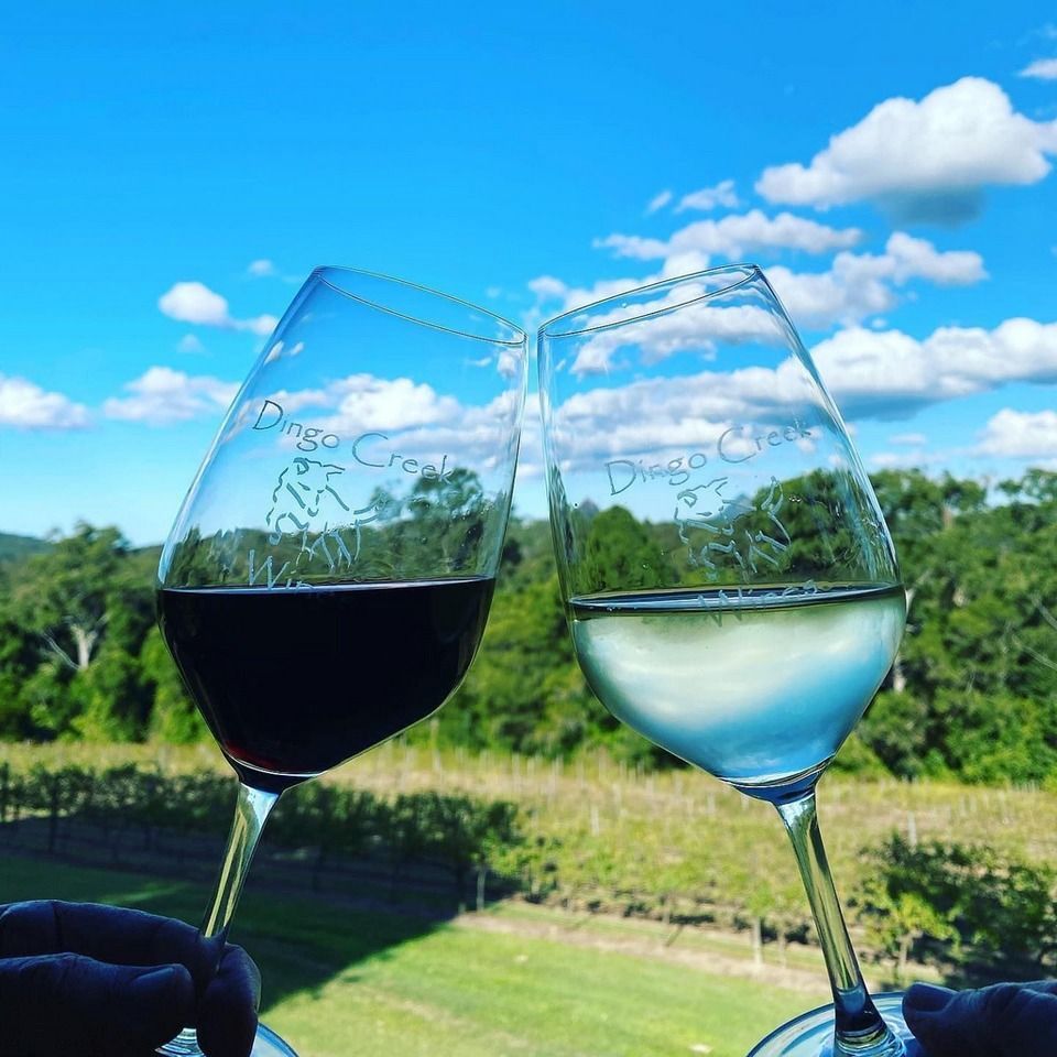Two Wine Glasses Clinking, One With Red Wine, One With White — Chefs2Go in Rockhampton, QLD