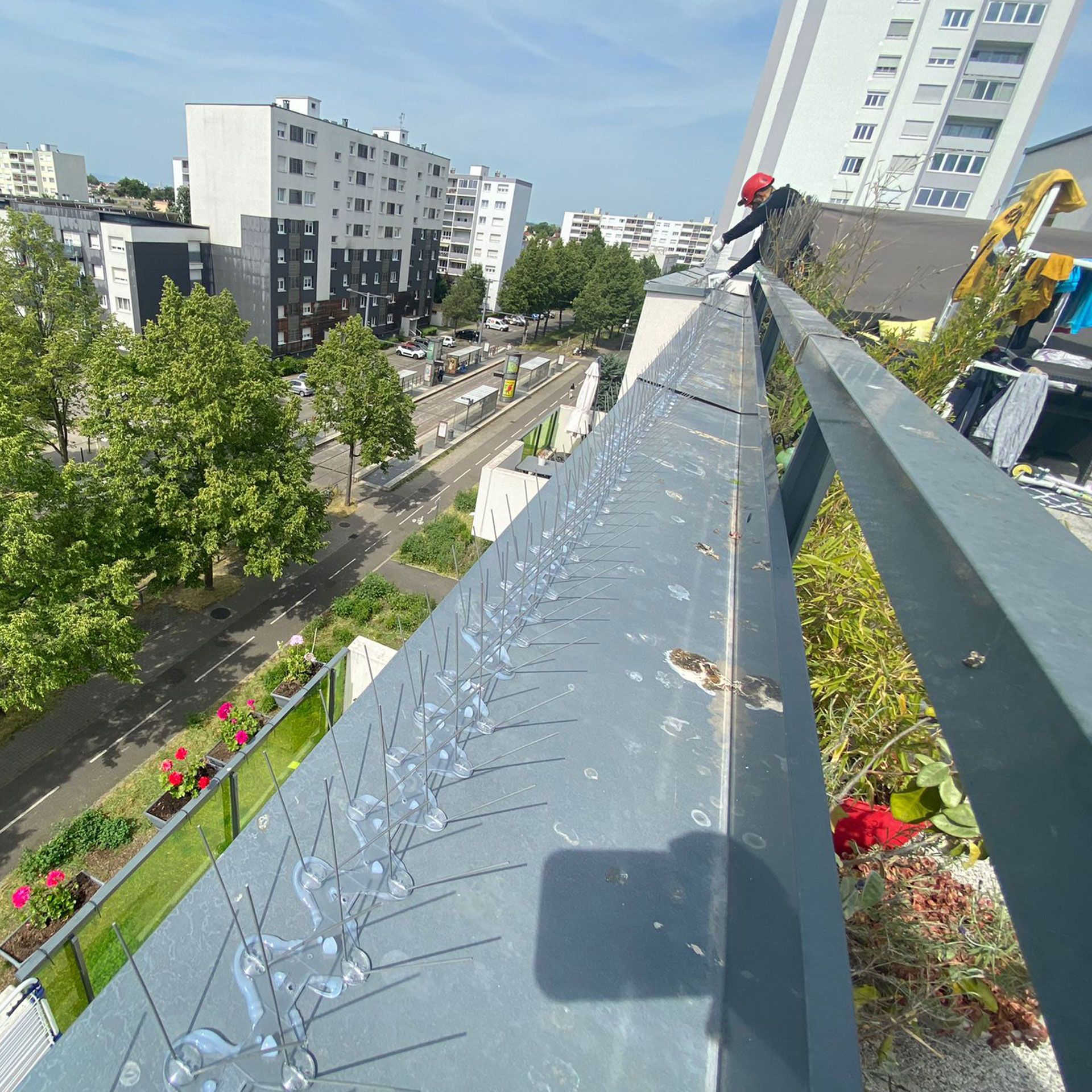 Un oiseau est perché sur un balcon surplombant une ville