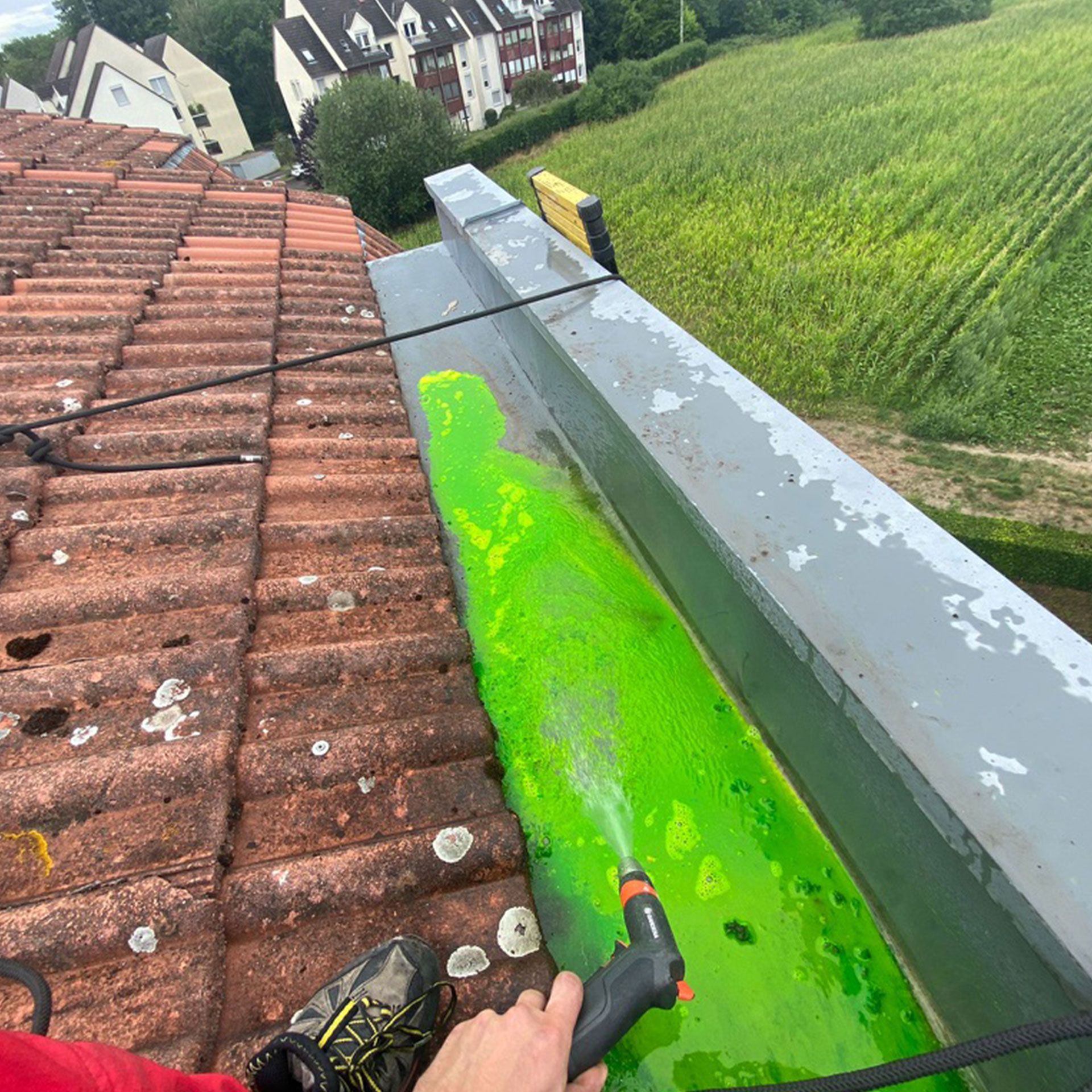 Une personne pulvérise de la peinture verte sur une gouttière sur un toit.