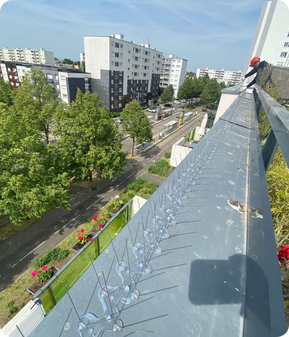 Un oiseau est perché sur un balcon surplombant une ville.