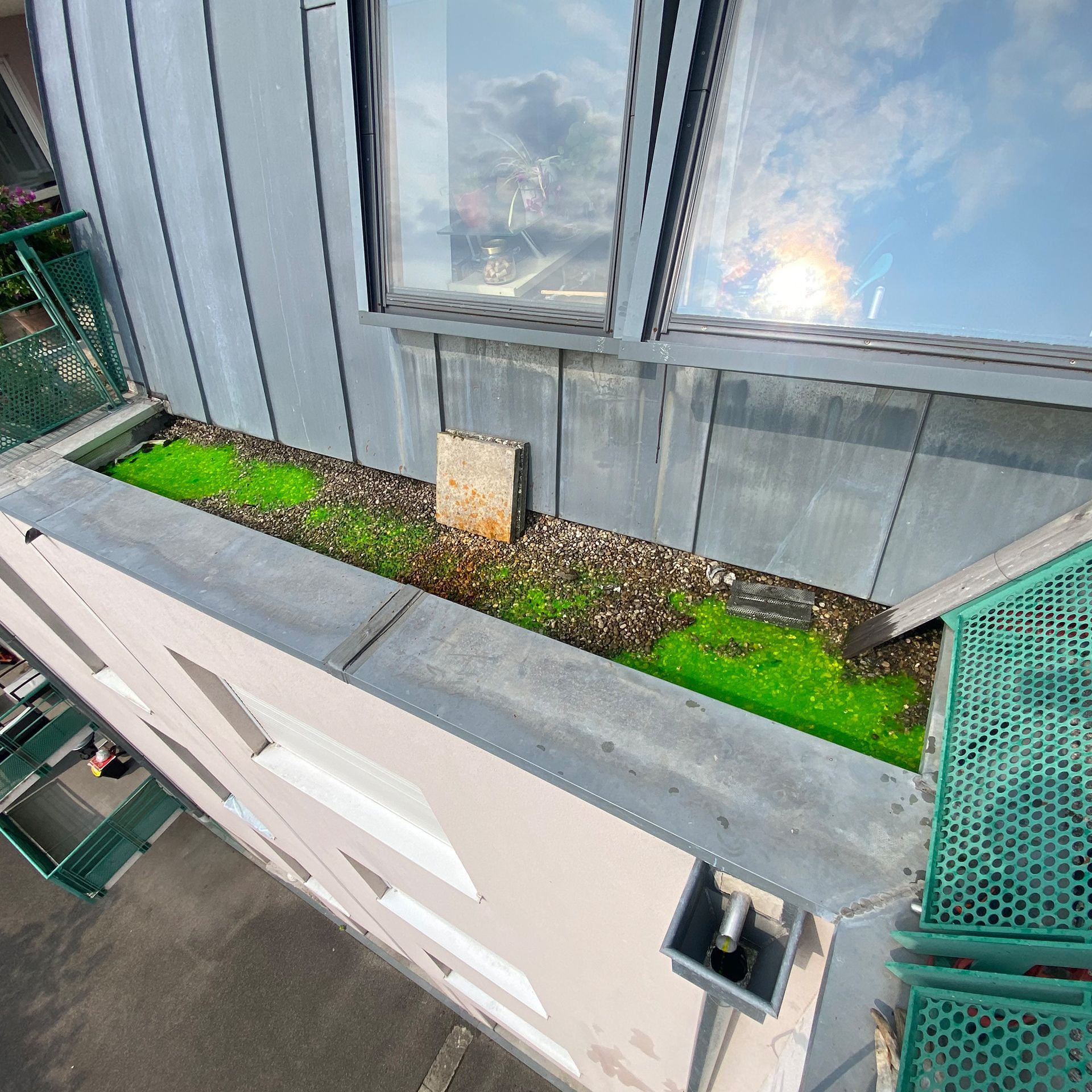 Un bâtiment avec une jardinière verte sur le côté