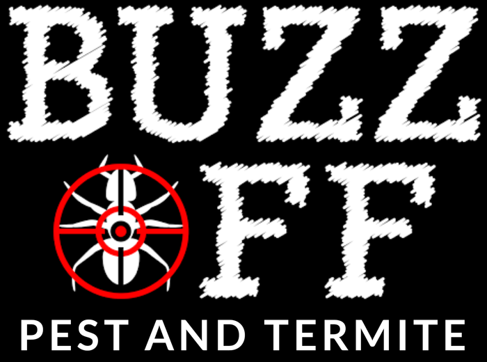 Safe and effective pest management solutions from Buzz Off Pest and Termite LLC in Temple, TX
