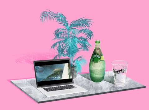 Digital Media Video Creation