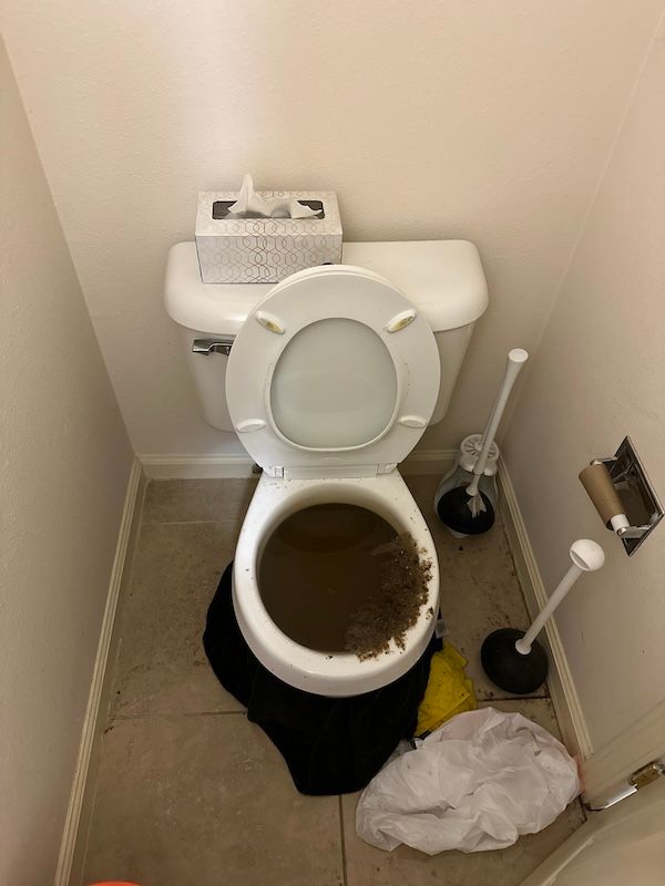 Rapid Toilet Clog Repairs: Serving San Francisco and San Mateo County with ASAP Plumbing Pros