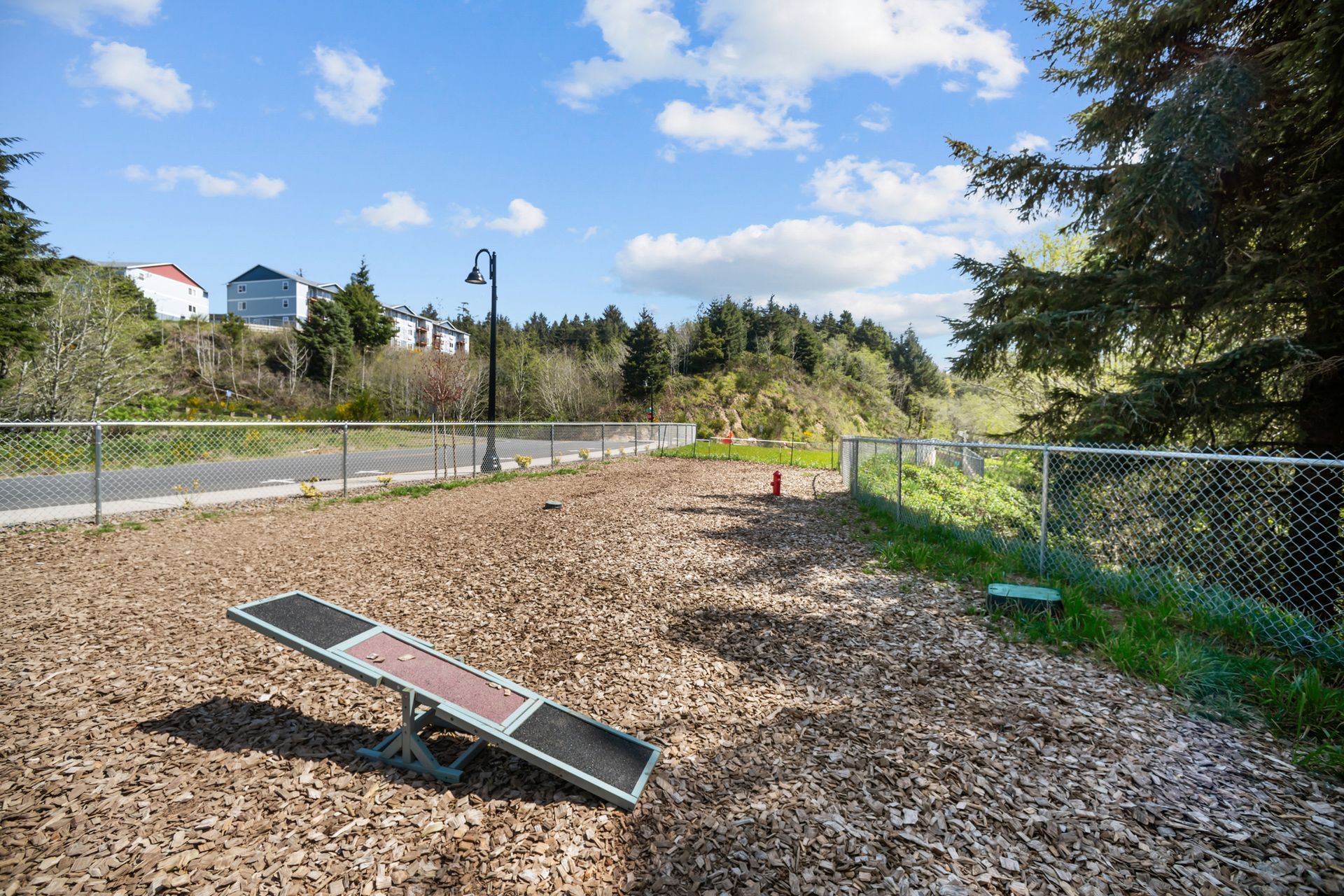 There is a seesaw in the middle of a dog park.