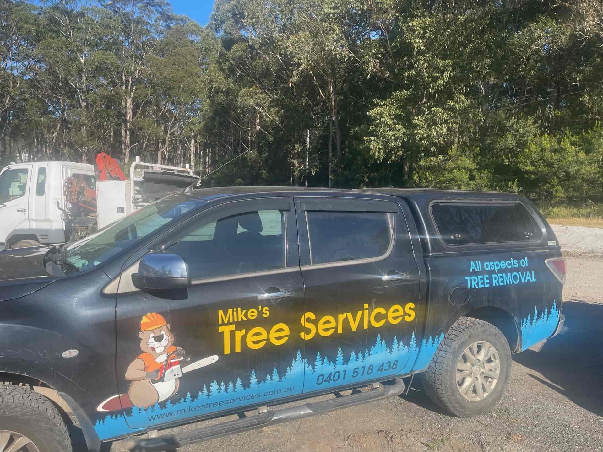 About Us | Mike's Tree Services