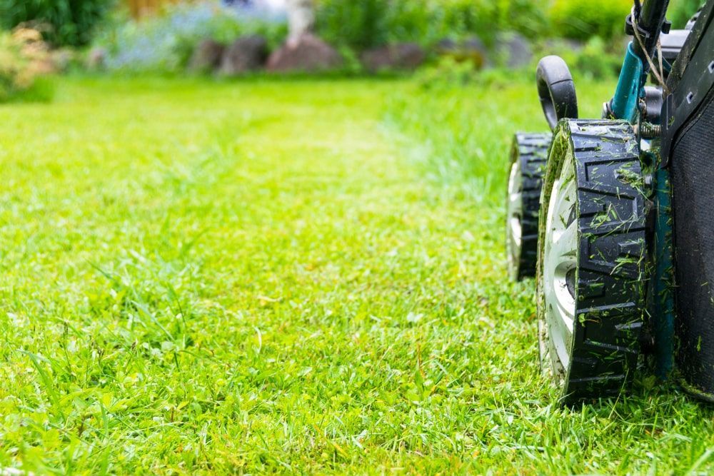 Tractor Mowing Grass On A Lush Green Field — Mike's Tree Services In  Saint Georges Basin, NSW