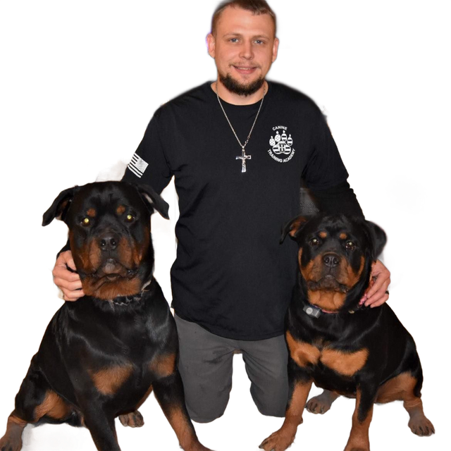 Man kneeling with two black-and-tan Rottweilers on a white background