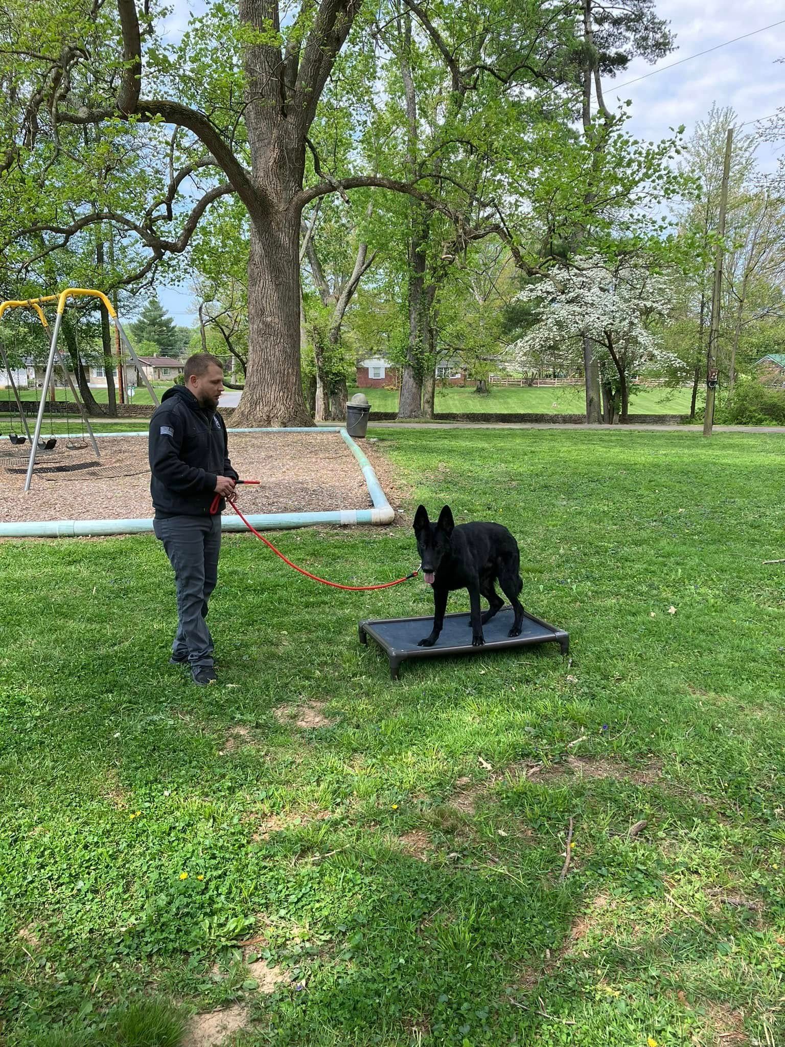 Person training a black dog on a platform in a grassy park with trees and a swing set.