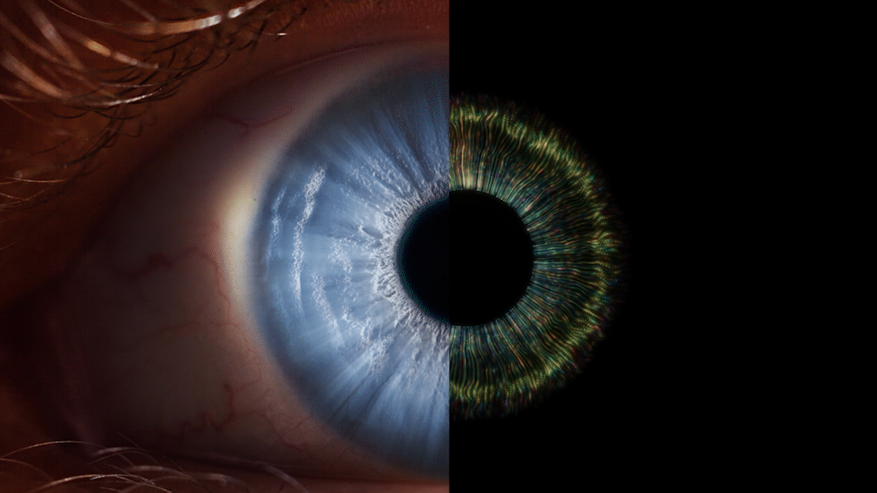 Close-up of a human eye with a blue iris and a stylized digital iris on the right side, split-screen effect