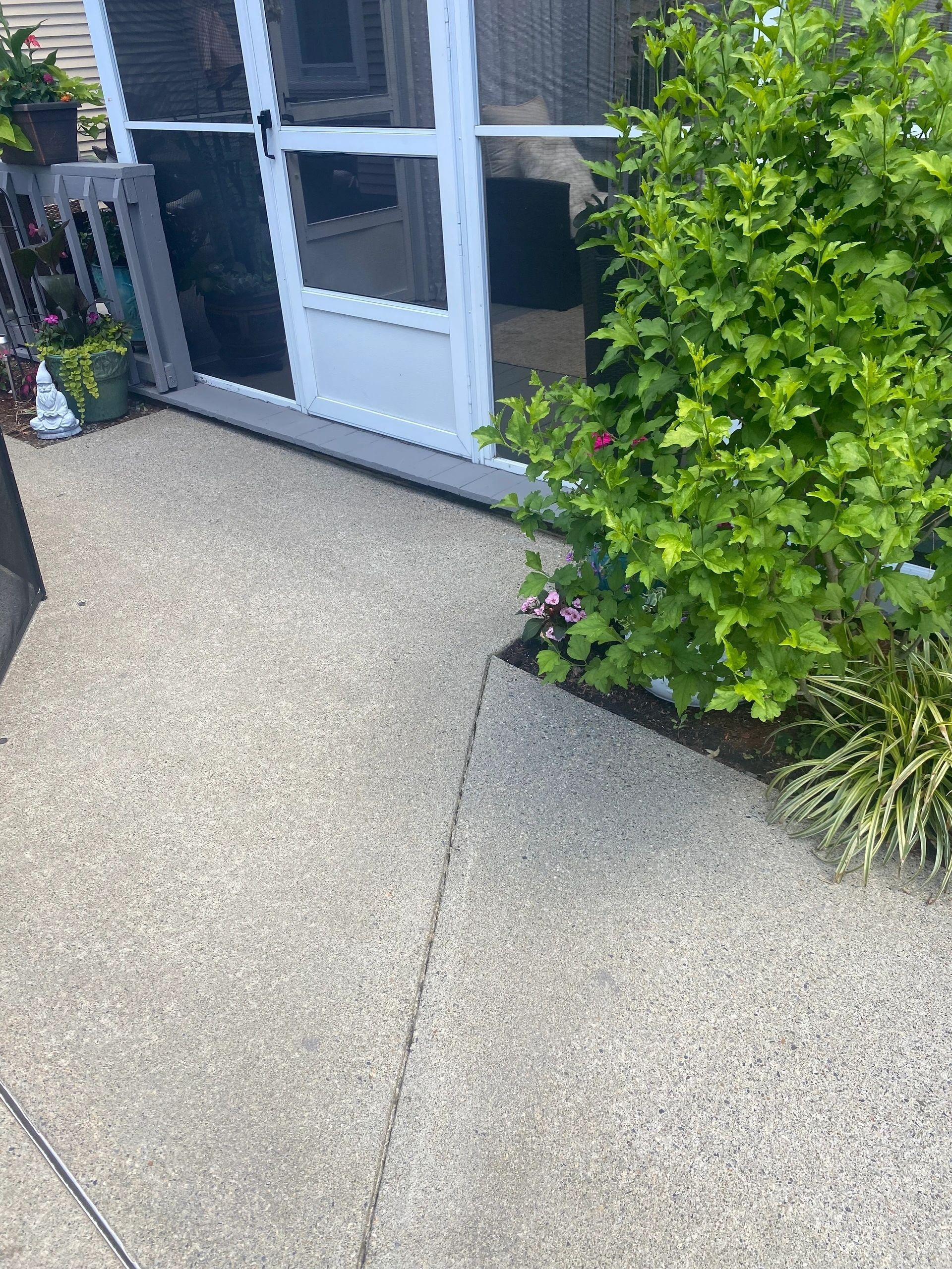 Concrete patio path beside a house entrance, with a white door and green shrubbery.