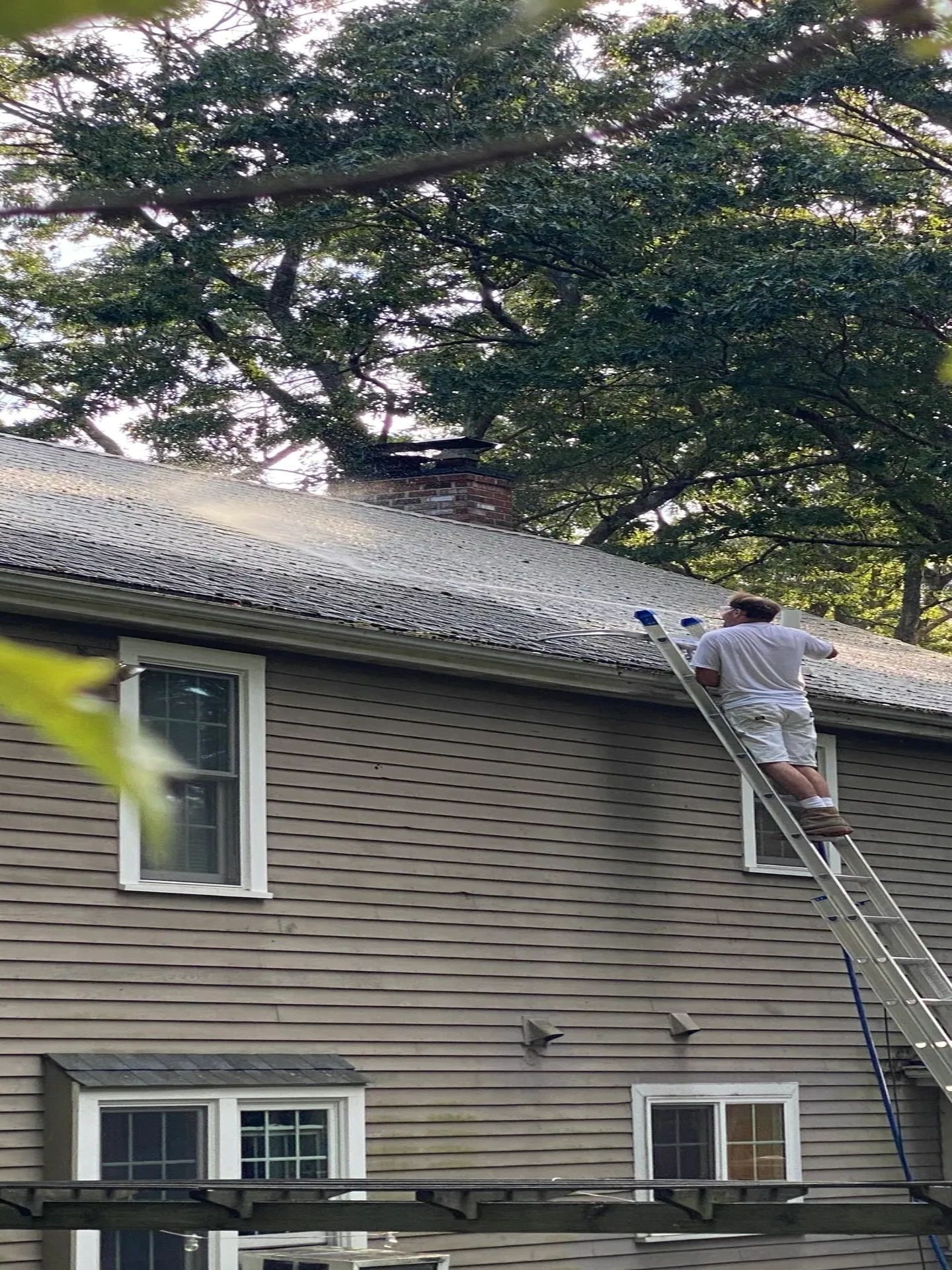 Person on a ladder cleaning a gray roof beside a house with large trees behind it