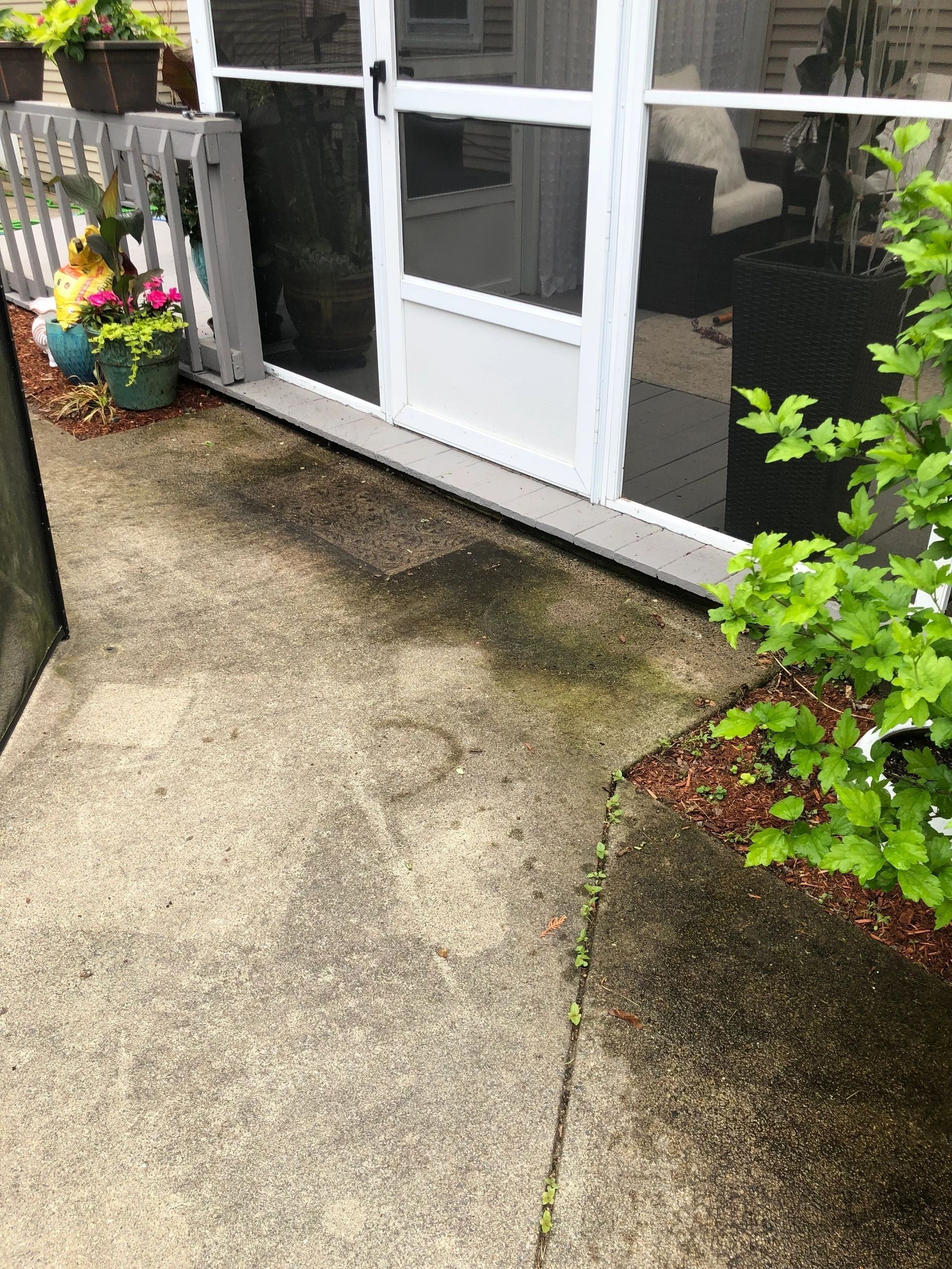Concrete patio and white patio door beside potted flowers and green shrubs.