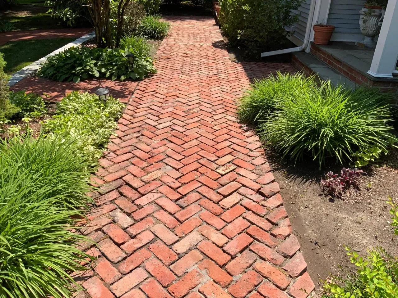 Brick walkway through a landscaped garden with green plants and shrubs
