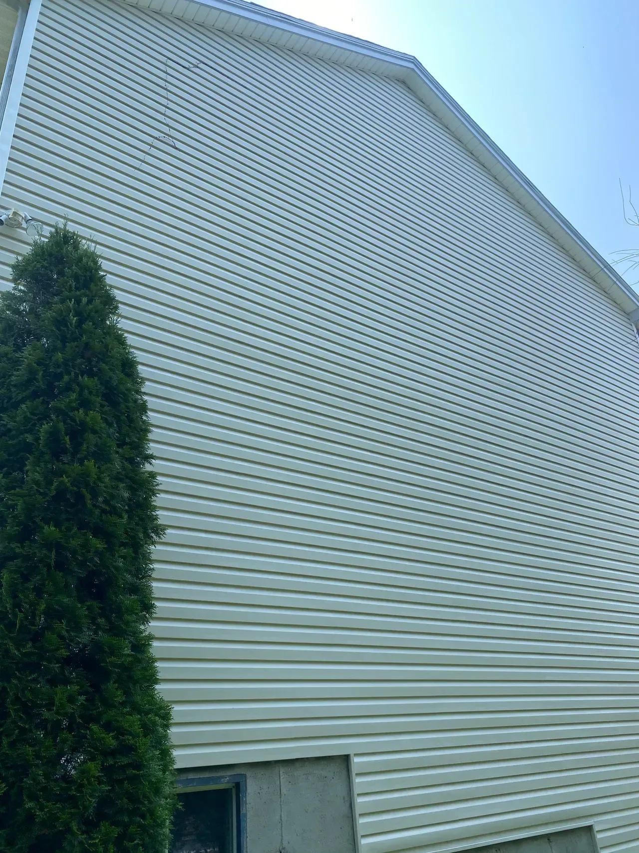 White vinyl-sided house exterior with a tall evergreen tree beside it