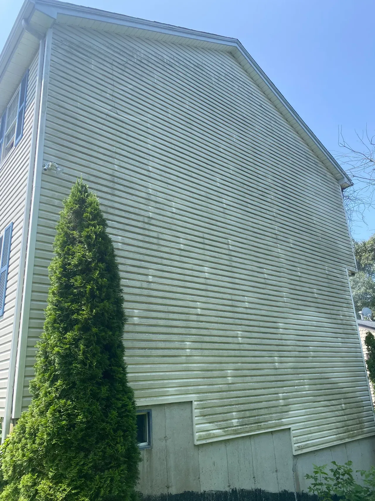 Side view of a white clapboard house with a tall evergreen tree under a clear blue sky
