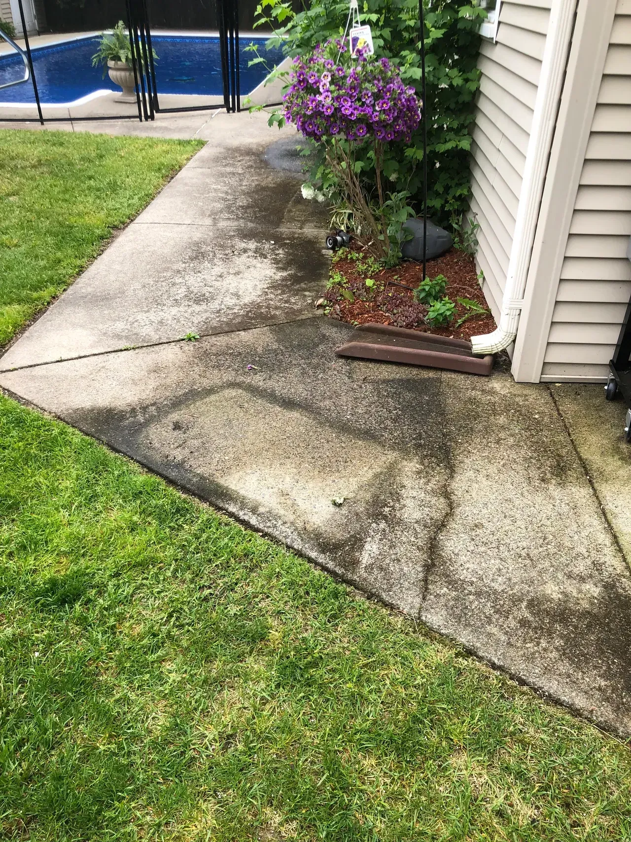 Cracked concrete walkway beside house, green lawn, and purple flowering plant near a pool fence