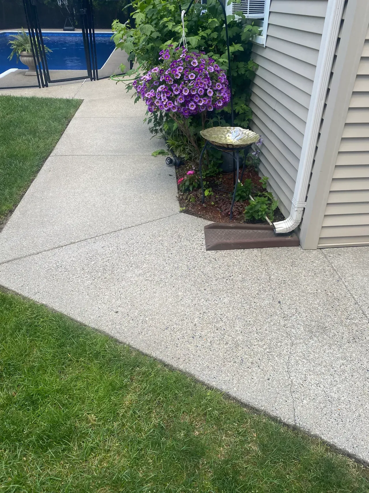Side yard walkway beside a house, with purple flowers, a birdbath, and a blue gate.