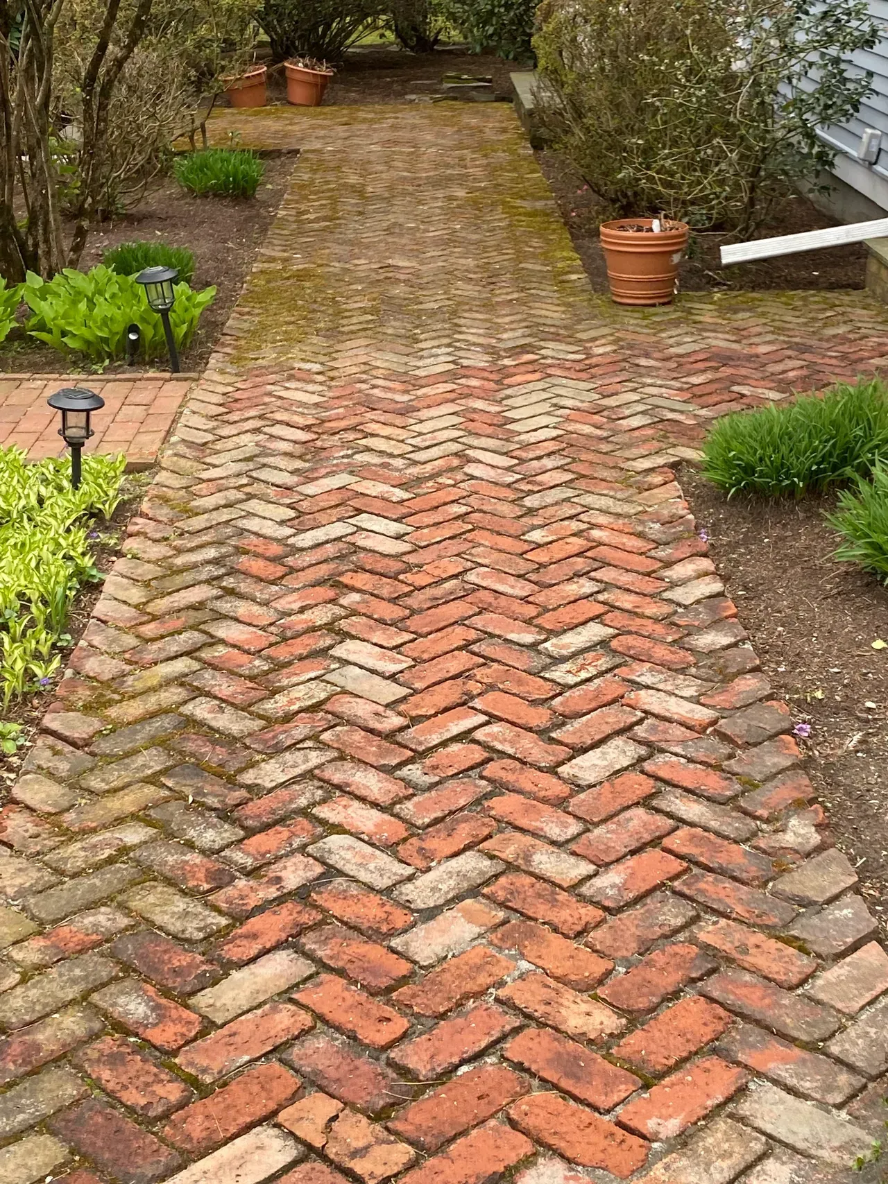 Brick garden path with red and gray herringbone pavers, bordered by plants and terracotta pots