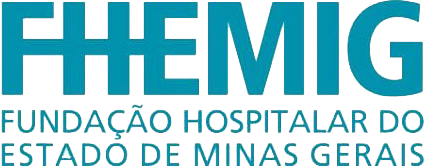logo fhemig