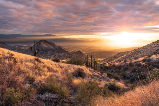 Golden sunset over desert landscape with mountains, cacti, and cloudy sky.