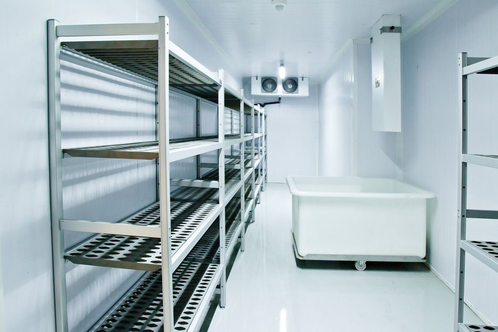 A Clean, White Commercial Refrigeration With Stainless Steel Shelving — Gealy's Air-Conditioning, Refrigeration & Electrical in Noosaville, QLD