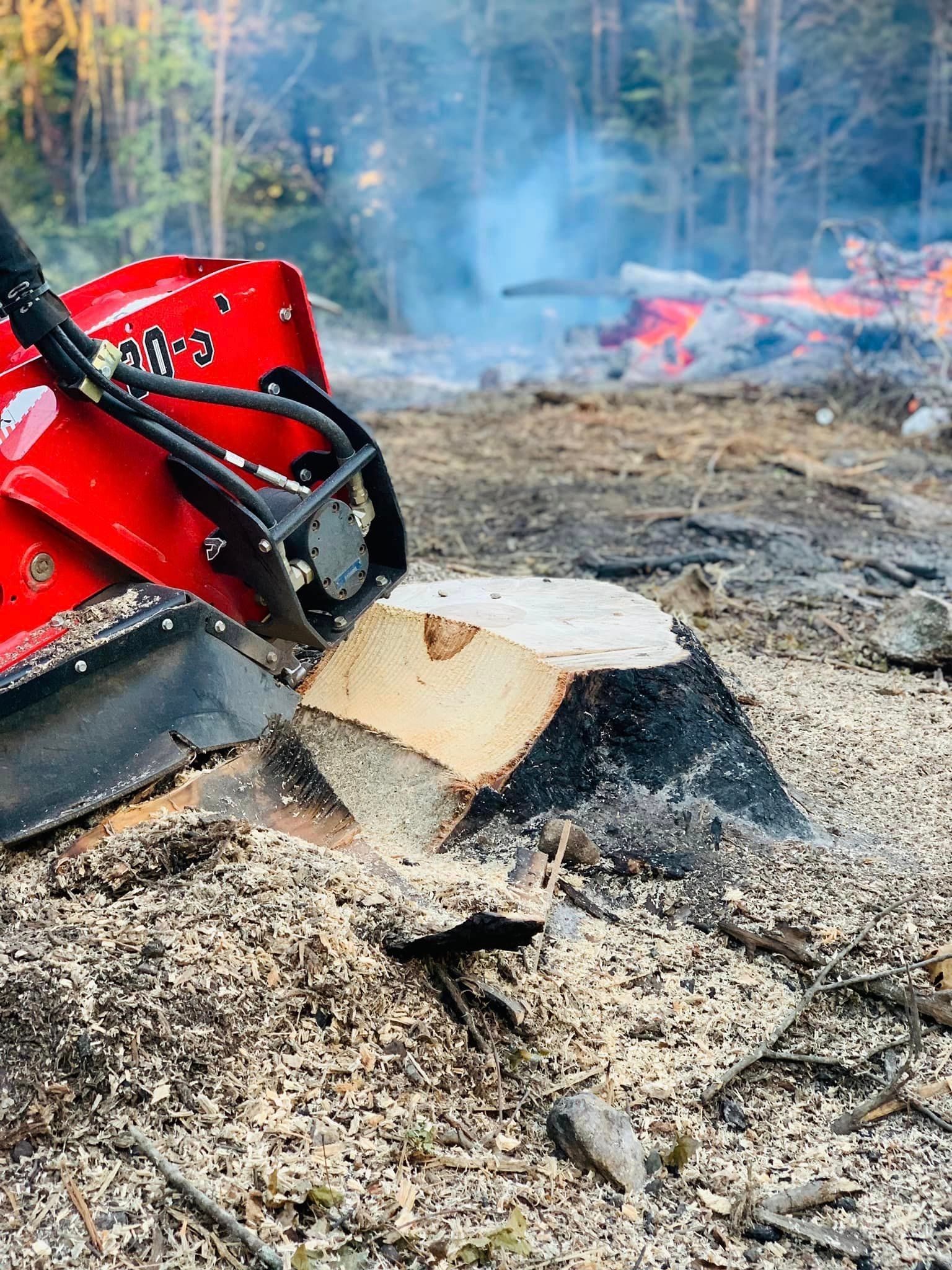 A stump grinder is cutting a tree stump in the woods.